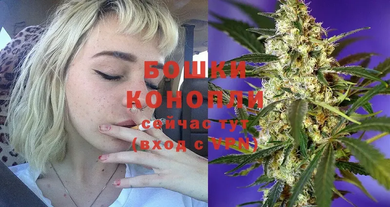 где купить наркоту  Абаза  мориарти наркотические препараты  Шишки марихуана Ganja 